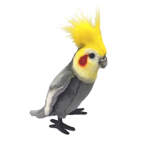 Cockatiel plush best sale