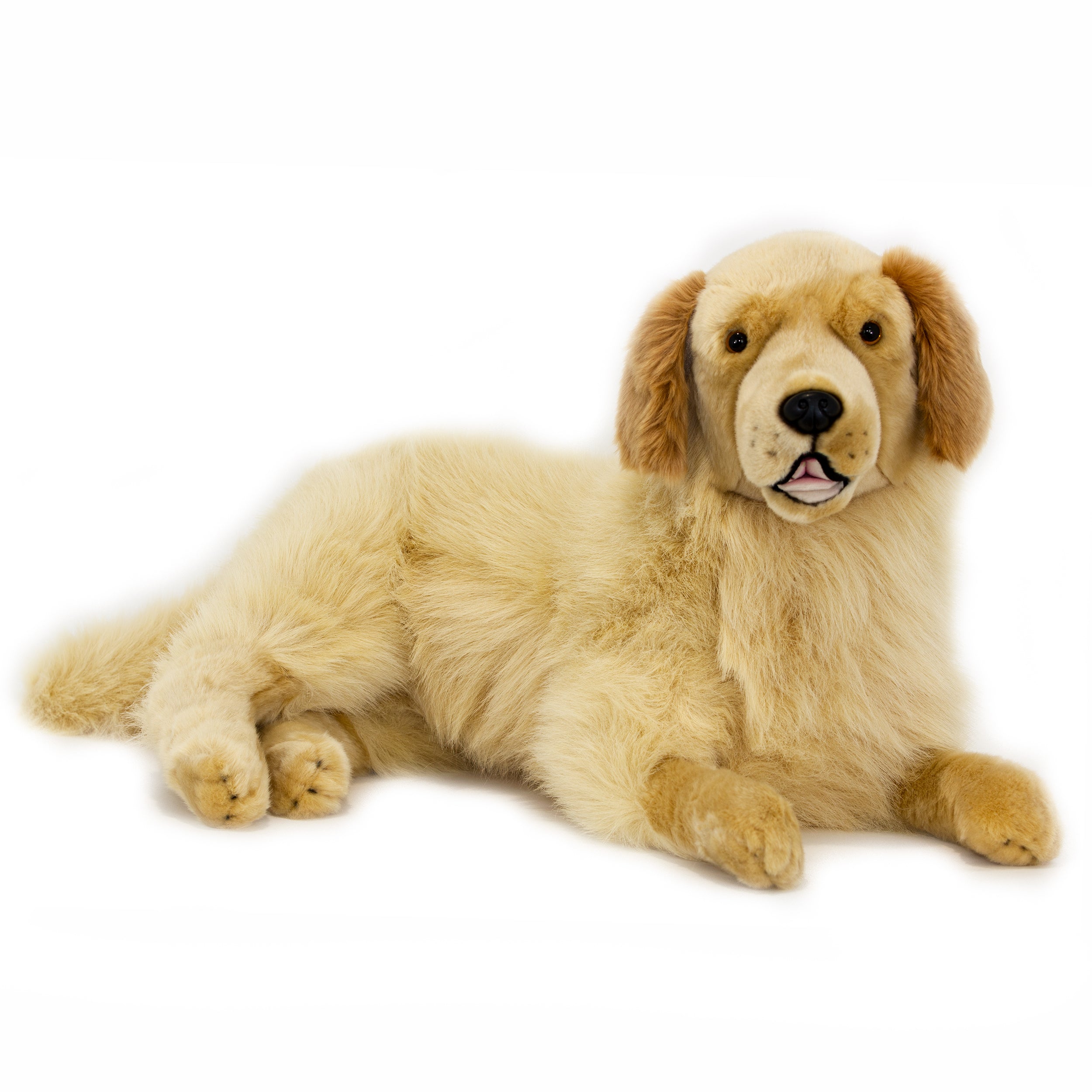 Golden retriever hot sale giant