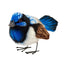 Rio Blue Wren