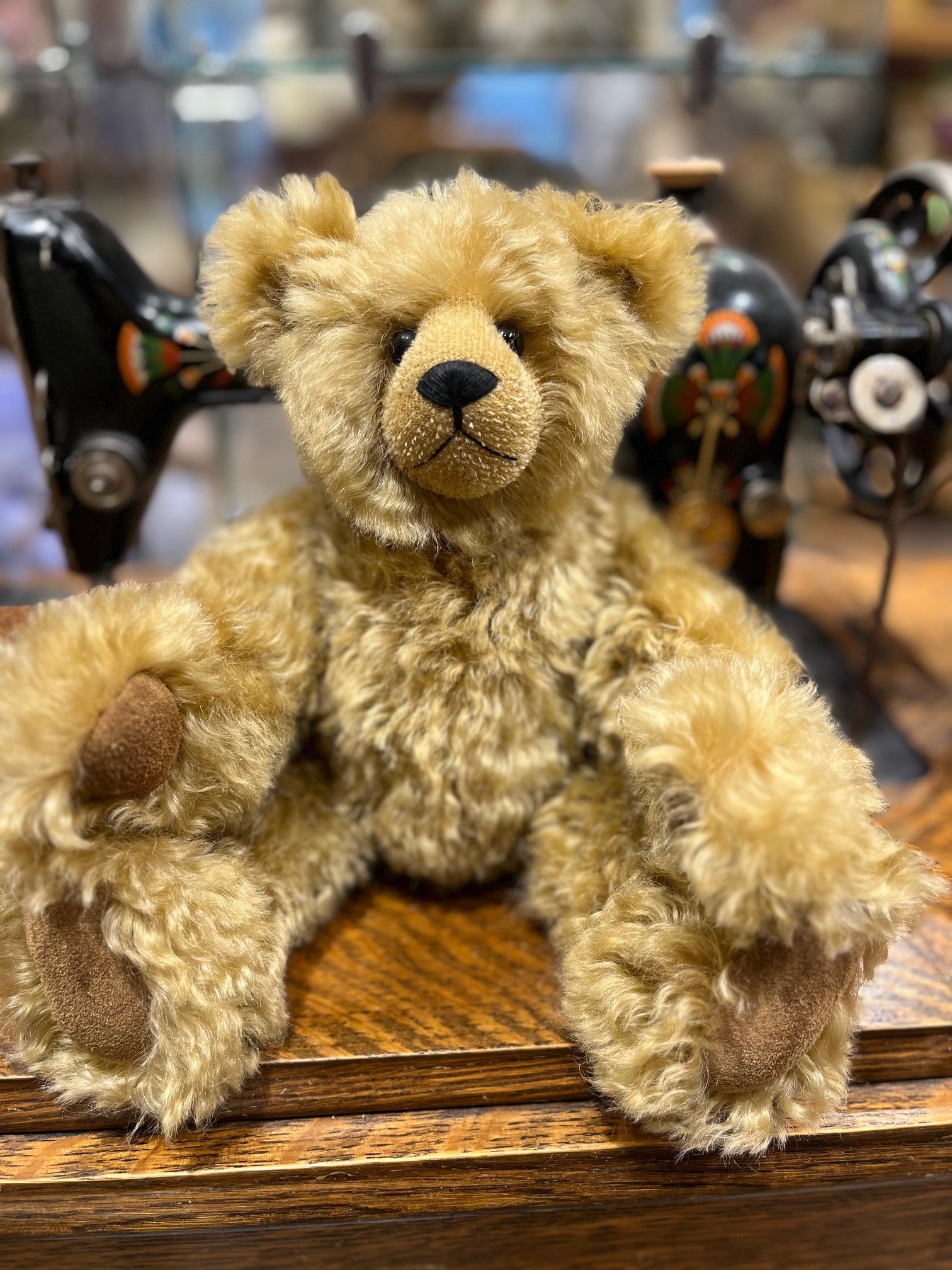 Cleo – The Teddy Bear Shop Hobart