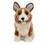 Windsor Corgi