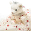 Empress Elisabeth Teddy bear