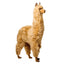 Alfredo | Alpaca