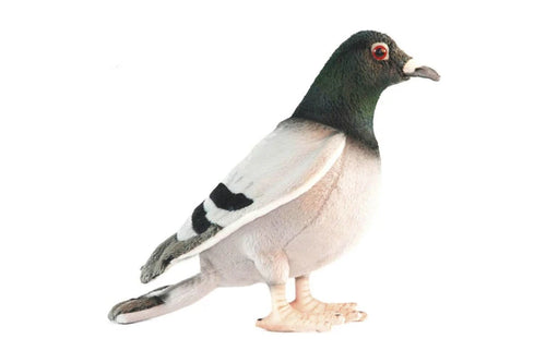 Heston | Pigeon