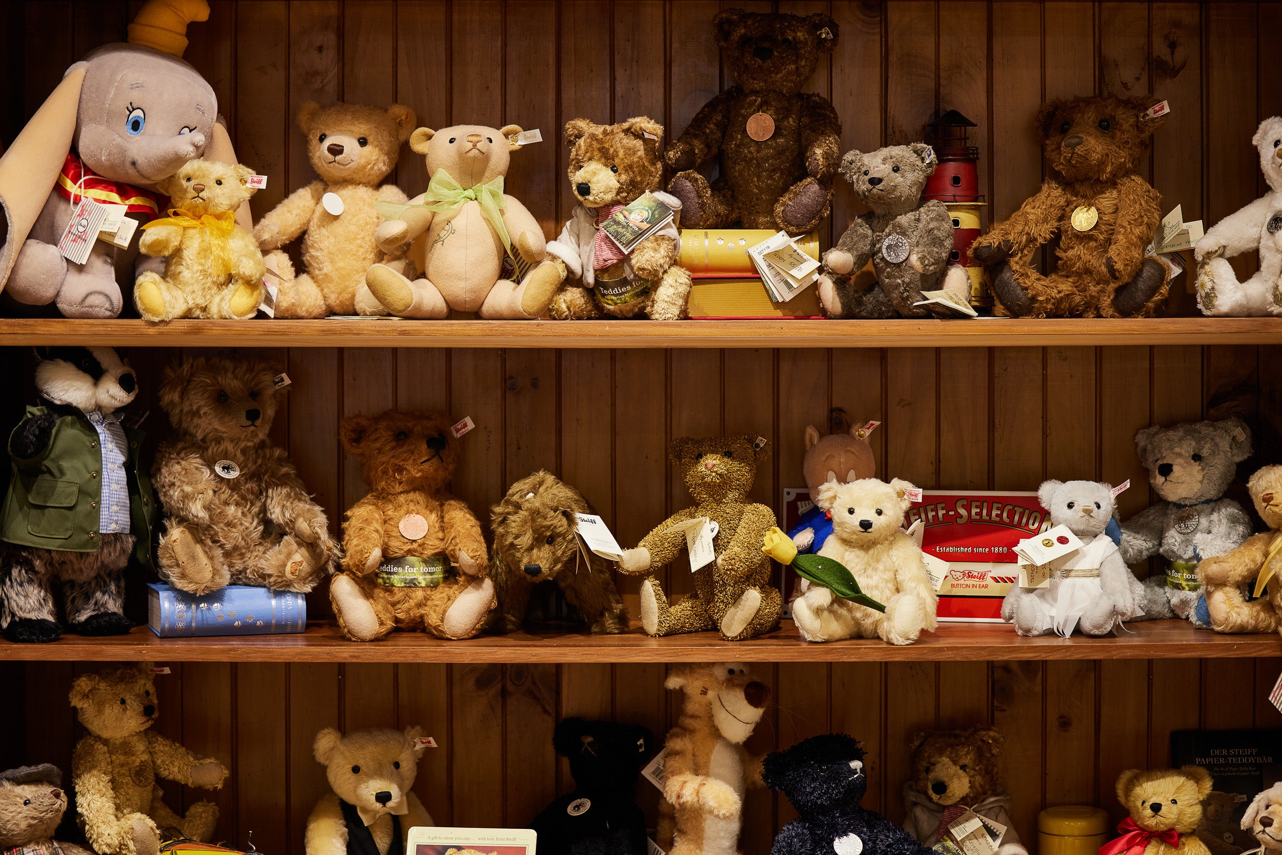 The Teddy Bear Shop The Teddy Bear Shop Hobart