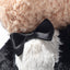 James Bond Plush Teddy Bear